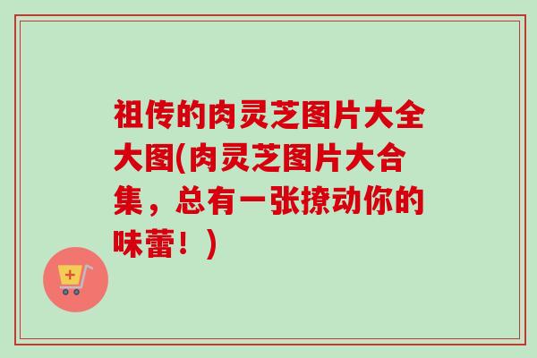 祖传的肉灵芝图片大全大图(肉灵芝图片大合集,总有一张撩动你的味蕾!) 祖传的肉灵芝图片大全大图(肉灵芝图片大合集,总有一张撩动你的味蕾!)