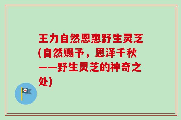 王力自然恩惠野生灵芝(自然赐予,恩泽千秋——野生灵芝的神奇之处) 王力自然恩惠野生灵芝(自然赐予,恩泽千秋——野生灵芝的神奇之处)