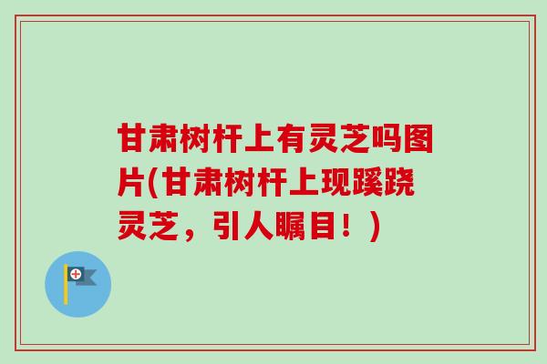 甘肃树杆上有灵芝吗图片(甘肃树杆上现蹊跷灵芝，引人瞩目！)