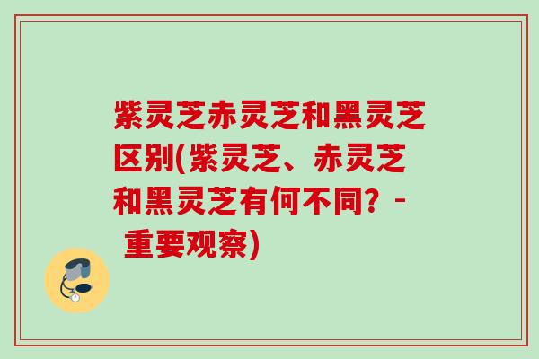 紫灵芝赤灵芝和黑灵芝区别(紫灵芝、赤灵芝和黑灵芝有何不同？- 重要观察)