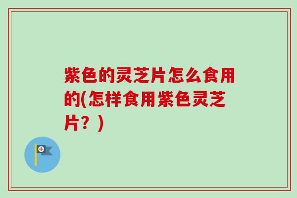 紫色的灵芝片怎么食用的(怎样食用紫色灵芝片?) 紫色的灵芝片怎么食用的(怎样食用紫色灵芝片?)
