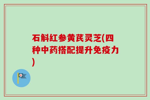 石斛红参黄芪灵芝(四种搭配提升免疫力) 石斛红参黄芪灵芝(四种搭配提升免疫力)