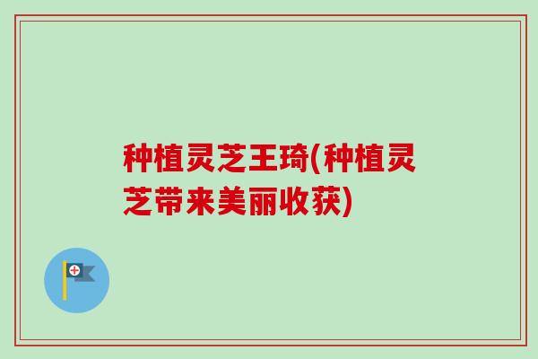 种植灵芝王琦(种植灵芝带来美丽收获) 种植灵芝王琦(种植灵芝带来美丽收获)