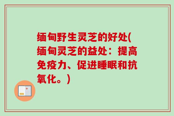 缅甸野生灵芝的好处(缅甸灵芝的益处：提高免疫力、促进和。)