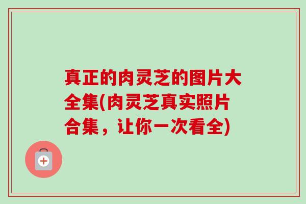 真正的肉灵芝的图片大全集(肉灵芝真实照片合集,让你一次看全) 真正的肉灵芝的图片大全集(肉灵芝真实照片合集,让你一次看全)