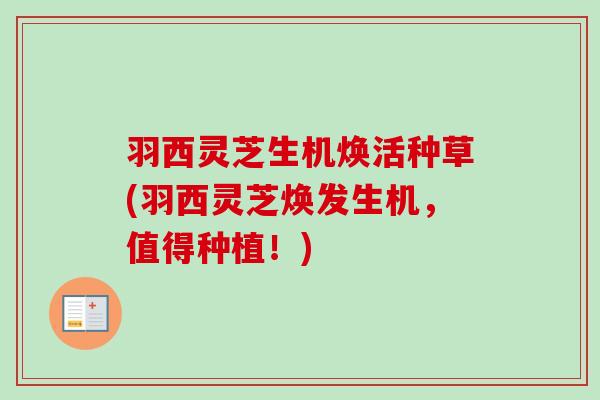 羽西灵芝生机焕活种草(羽西灵芝焕发生机,值得种植!) 羽西灵芝生机焕活种草(羽西灵芝焕发生机,值得种植!)