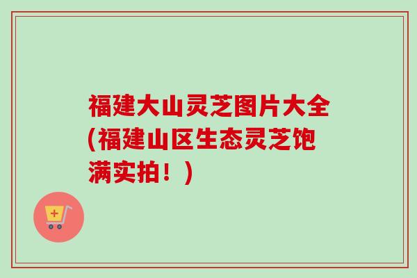 福建大山灵芝图片大全(福建山区生态灵芝饱满实拍!) 福建大山灵芝图片大全(福建山区生态灵芝饱满实拍!)