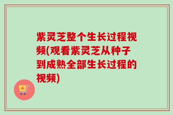紫灵芝整个生长过程视频(观看紫灵芝从种子到成熟全部生长过程的视频) 紫灵芝整个生长过程视频(观看紫灵芝从种子到成熟全部生长过程的视频)