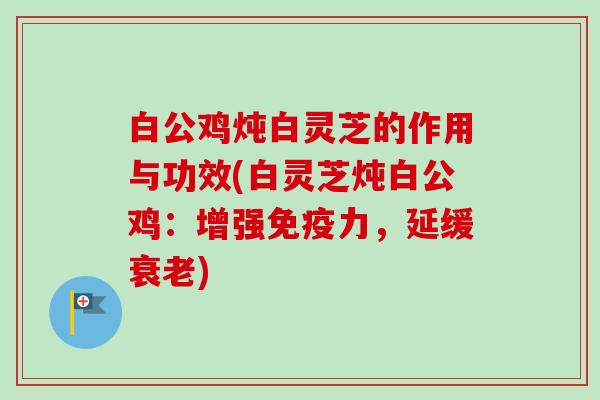 白公鸡炖白灵芝的作用与功效(白灵芝炖白公鸡:增强免疫力,延缓) 白公鸡炖白灵芝的作用与功效(白灵芝炖白公鸡:增强免疫力,延缓)