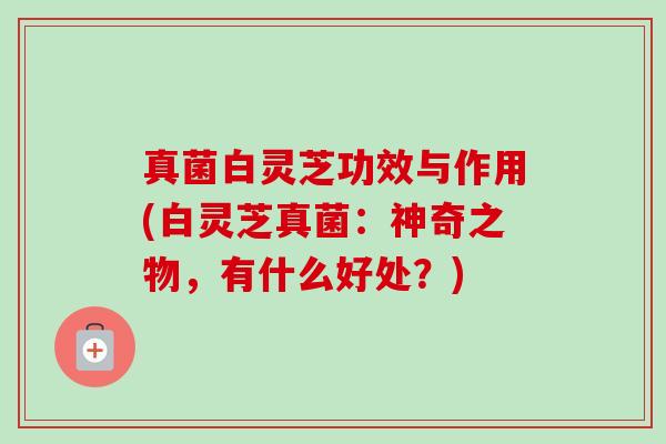 真菌白灵芝功效与作用(白灵芝真菌:神奇之物,有什么好处?) 真菌白灵芝功效与作用(白灵芝真菌:神奇之物,有什么好处?)