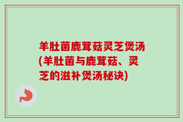 羊肚菌鹿茸菇灵芝煲汤(羊肚菌与鹿茸菇、灵芝的滋补煲汤秘诀)