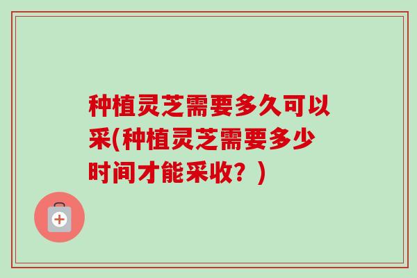 种植灵芝需要多久可以采(种植灵芝需要多少时间才能采收?) 种植灵芝需要多久可以采(种植灵芝需要多少时间才能采收?)