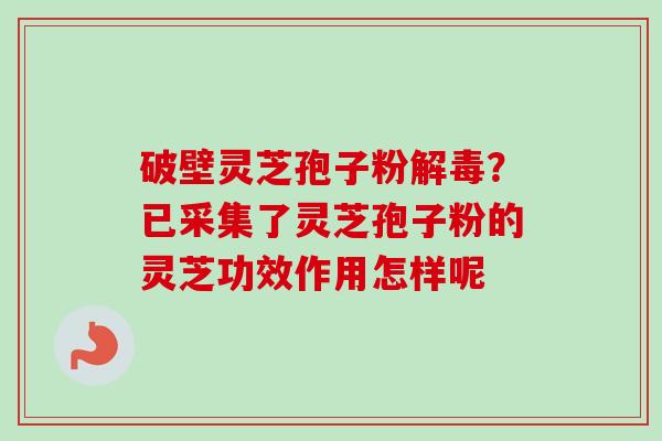 破壁灵芝孢子粉？已采集了灵芝孢子粉的灵芝功效作用怎样呢