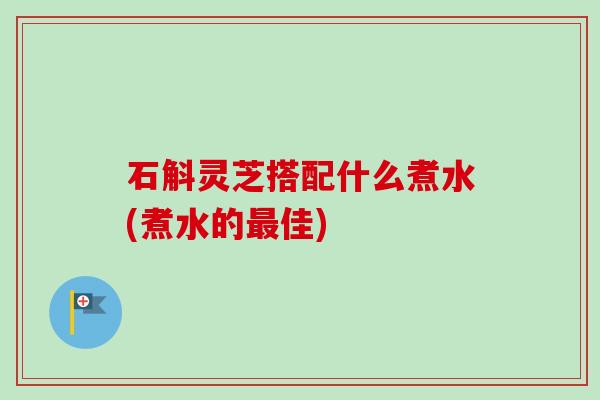 石斛灵芝搭配什么煮水(煮水的佳) 石斛灵芝搭配什么煮水(煮水的佳)