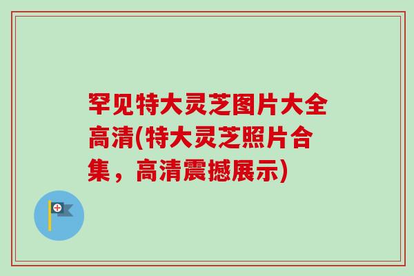 罕见特大灵芝图片大全高清(特大灵芝照片合集,高清震撼展示) 罕见特大灵芝图片大全高清(特大灵芝照片合集,高清震撼展示)