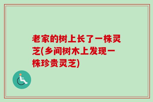 老家的树上长了一株灵芝(乡间树木上发现一株珍贵灵芝)