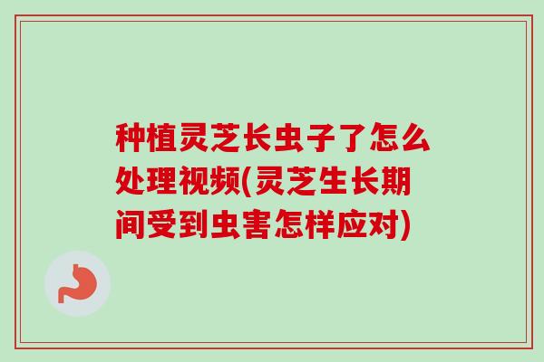 种植灵芝长虫子了怎么处理视频(灵芝生长期间受到虫害怎样应对) 种植灵芝长虫子了怎么处理视频(灵芝生长期间受到虫害怎样应对)
