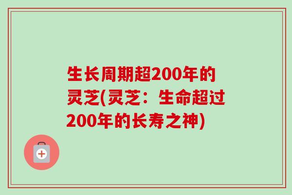 生长周期超200年的灵芝(灵芝:生命超过200年的长寿之神) 生长周期超200年的灵芝(灵芝:生命超过200年的长寿之神)
