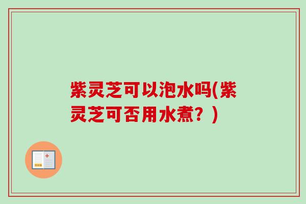 紫灵芝可以泡水吗(紫灵芝可否用水煮?) 紫灵芝可以泡水吗(紫灵芝可否用水煮?)