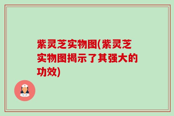 紫灵芝实物图(紫灵芝实物图揭示了其强大的功效) 紫灵芝实物图(紫灵芝实物图揭示了其强大的功效)