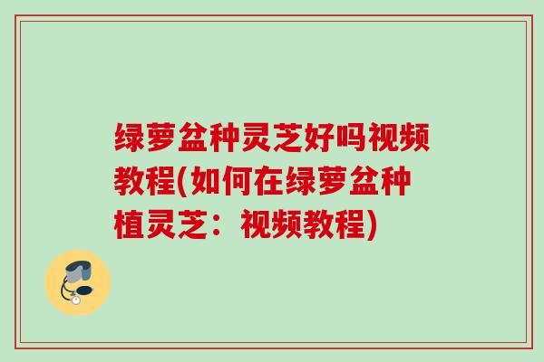 绿萝盆种灵芝好吗视频教程(如何在绿萝盆种植灵芝:视频教程) 绿萝盆种灵芝好吗视频教程(如何在绿萝盆种植灵芝:视频教程)
