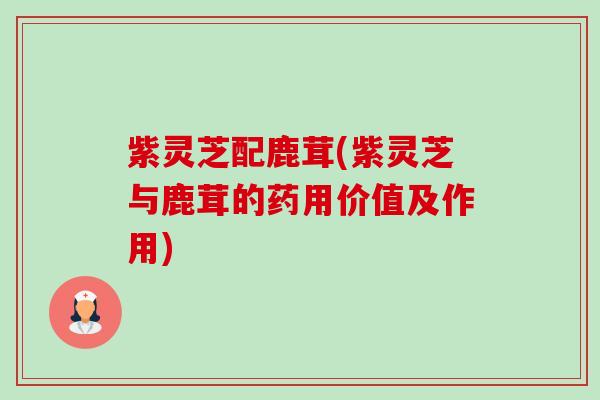 紫灵芝配鹿茸(紫灵芝与鹿茸的药用价值及作用) 紫灵芝配鹿茸(紫灵芝与鹿茸的药用价值及作用)