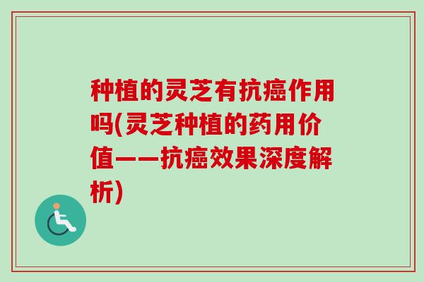种植的灵芝有抗作用吗(灵芝种植的药用价值——抗效果深度解析) 种植的灵芝有抗作用吗(灵芝种植的药用价值——抗效果深度解析)