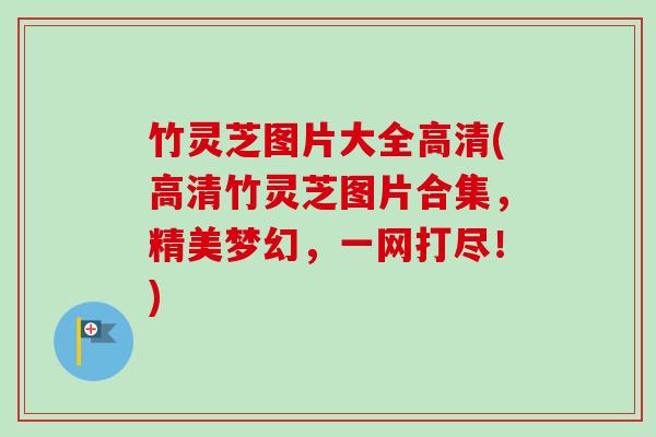 竹灵芝图片大全高清(高清竹灵芝图片合集,精美梦幻,一网打尽!) 竹灵芝图片大全高清(高清竹灵芝图片合集,精美梦幻,一网打尽!)
