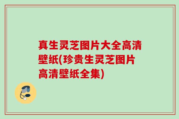 真生灵芝图片大全高清壁纸(珍贵生灵芝图片高清壁纸全集) 真生灵芝图片大全高清壁纸(珍贵生灵芝图片高清壁纸全集)