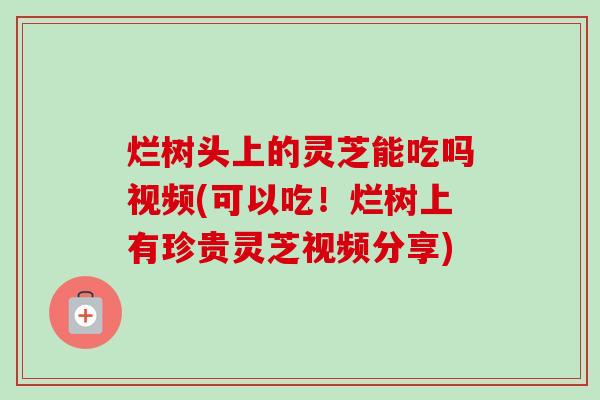 烂树头上的灵芝能吃吗视频(可以吃!烂树上有珍贵灵芝视频分享) 烂树头上的灵芝能吃吗视频(可以吃!烂树上有珍贵灵芝视频分享)
