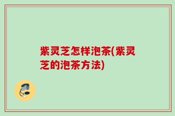 紫灵芝怎样泡茶(紫灵芝的泡茶方法)