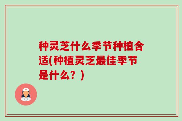 种灵芝什么季节种植合适(种植灵芝佳季节是什么?) 种灵芝什么季节种植合适(种植灵芝佳季节是什么?)