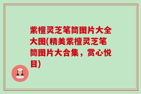 紫檀灵芝笔筒图片大全大图(精美紫檀灵芝笔筒图片大合集，赏心悦目)