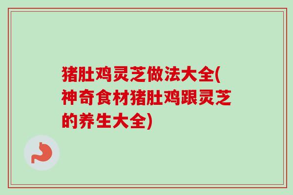 猪肚鸡灵芝做法大全(神奇食材猪肚鸡跟灵芝的养生大全) 猪肚鸡灵芝做法大全(神奇食材猪肚鸡跟灵芝的养生大全)