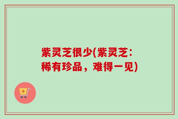 紫灵芝很少(紫灵芝:稀有珍品,难得一见) 紫灵芝很少(紫灵芝:稀有珍品,难得一见)