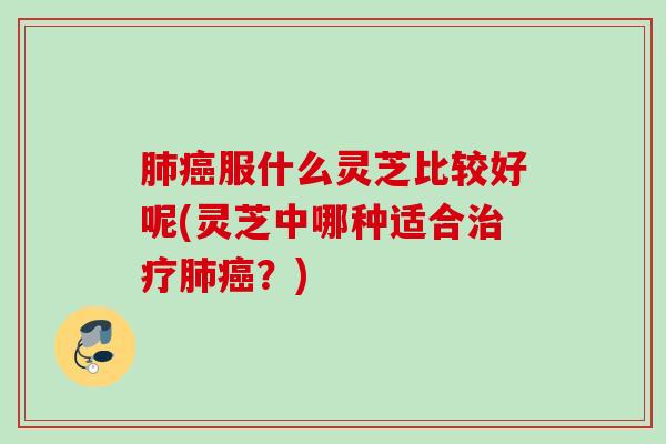 服什么灵芝比较好呢(灵芝中哪种适合?) 服什么灵芝比较好呢(灵芝中哪种适合?)