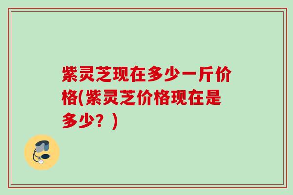 紫灵芝现在多少一斤价格(紫灵芝价格现在是多少?) 紫灵芝现在多少一斤价格(紫灵芝价格现在是多少?)