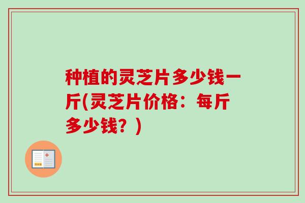 种植的灵芝片多少钱一斤(灵芝片价格:每斤多少钱?) 种植的灵芝片多少钱一斤(灵芝片价格:每斤多少钱?)