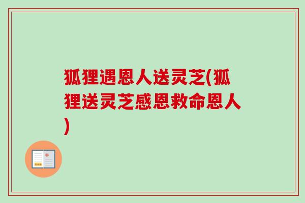 狐狸遇恩人送灵芝(狐狸送灵芝感恩救命恩人) 狐狸遇恩人送灵芝(狐狸送灵芝感恩救命恩人)