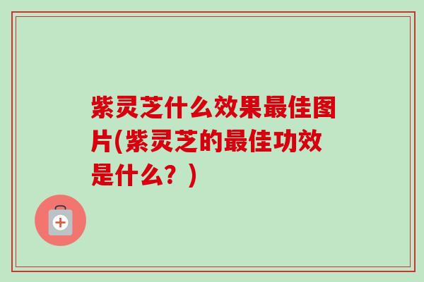 紫灵芝什么效果佳图片(紫灵芝的佳功效是什么？)