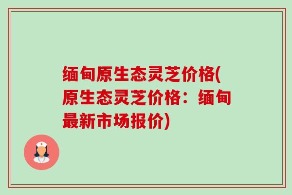 缅甸原生态灵芝价格(原生态灵芝价格:缅甸新市场报价) 缅甸原生态灵芝价格(原生态灵芝价格:缅甸新市场报价)