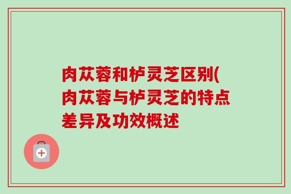 肉苁蓉和栌灵芝区别(肉苁蓉与栌灵芝的特点差异及功效概述