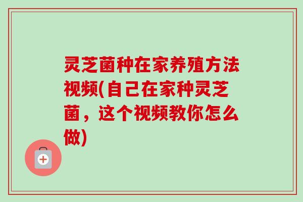 灵芝菌种在家养殖方法视频(自己在家种灵芝菌,这个视频教你怎么做) 灵芝菌种在家养殖方法视频(自己在家种灵芝菌,这个视频教你怎么做)