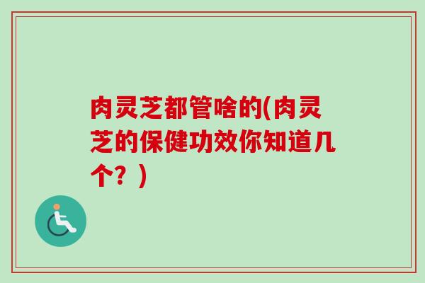 肉灵芝都管啥的(肉灵芝的保健功效你知道几个?) 肉灵芝都管啥的(肉灵芝的保健功效你知道几个?)