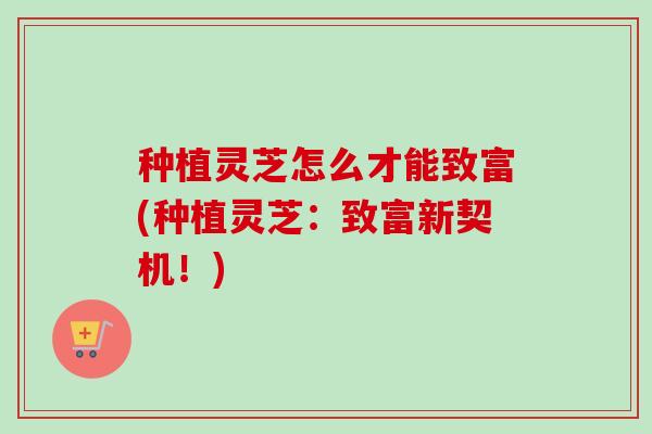 种植灵芝怎么才能致富(种植灵芝：致富新契机！)