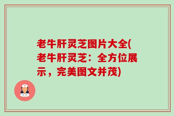 老牛灵芝图片大全(老牛灵芝:全方位展示,完美图文并茂) 老牛灵芝图片大全(老牛灵芝:全方位展示,完美图文并茂)