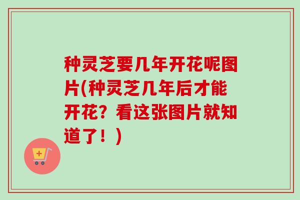 种灵芝要几年开花呢图片(种灵芝几年后才能开花？看这张图片就知道了！)