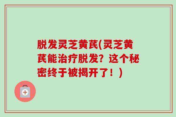 灵芝黄芪(灵芝黄芪能?这个秘密终于被揭开了!) 灵芝黄芪(灵芝黄芪能?这个秘密终于被揭开了!)