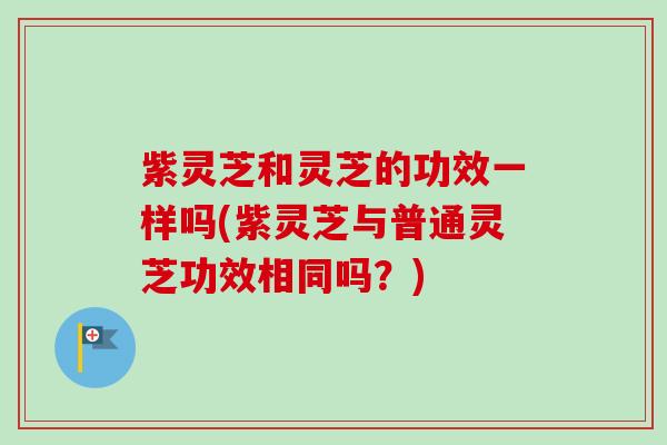 紫灵芝和灵芝的功效一样吗(紫灵芝与普通灵芝功效相同吗?) 紫灵芝和灵芝的功效一样吗(紫灵芝与普通灵芝功效相同吗?)