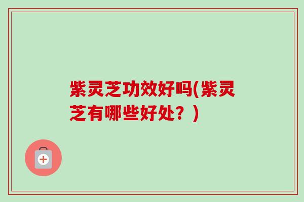 紫灵芝功效好吗(紫灵芝有哪些好处?) 紫灵芝功效好吗(紫灵芝有哪些好处?)